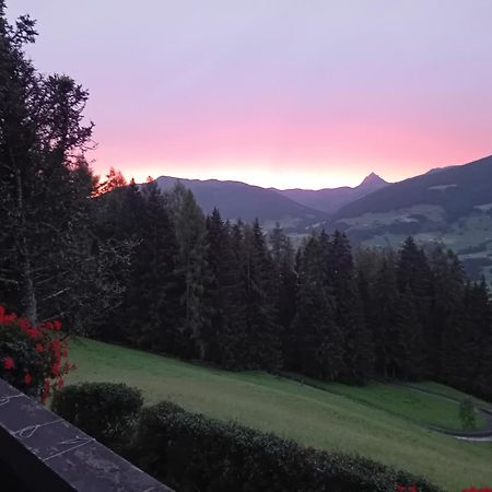 Ferienhaus Hochwimmer Hollersbach im Pinzgau Ngoại thất bức ảnh