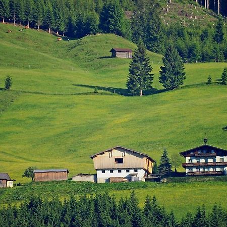 Ferienhaus Hochwimmer Hollersbach im Pinzgau Ngoại thất bức ảnh
