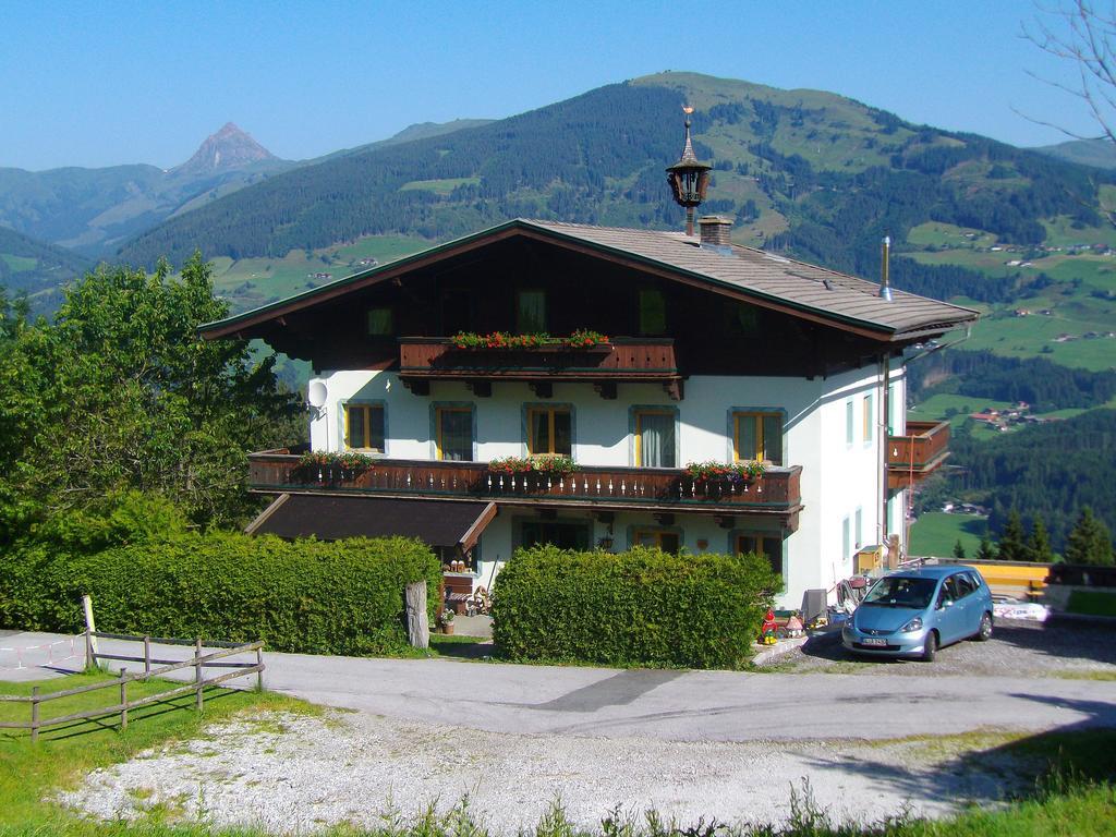 Ferienhaus Hochwimmer Hollersbach im Pinzgau Ngoại thất bức ảnh