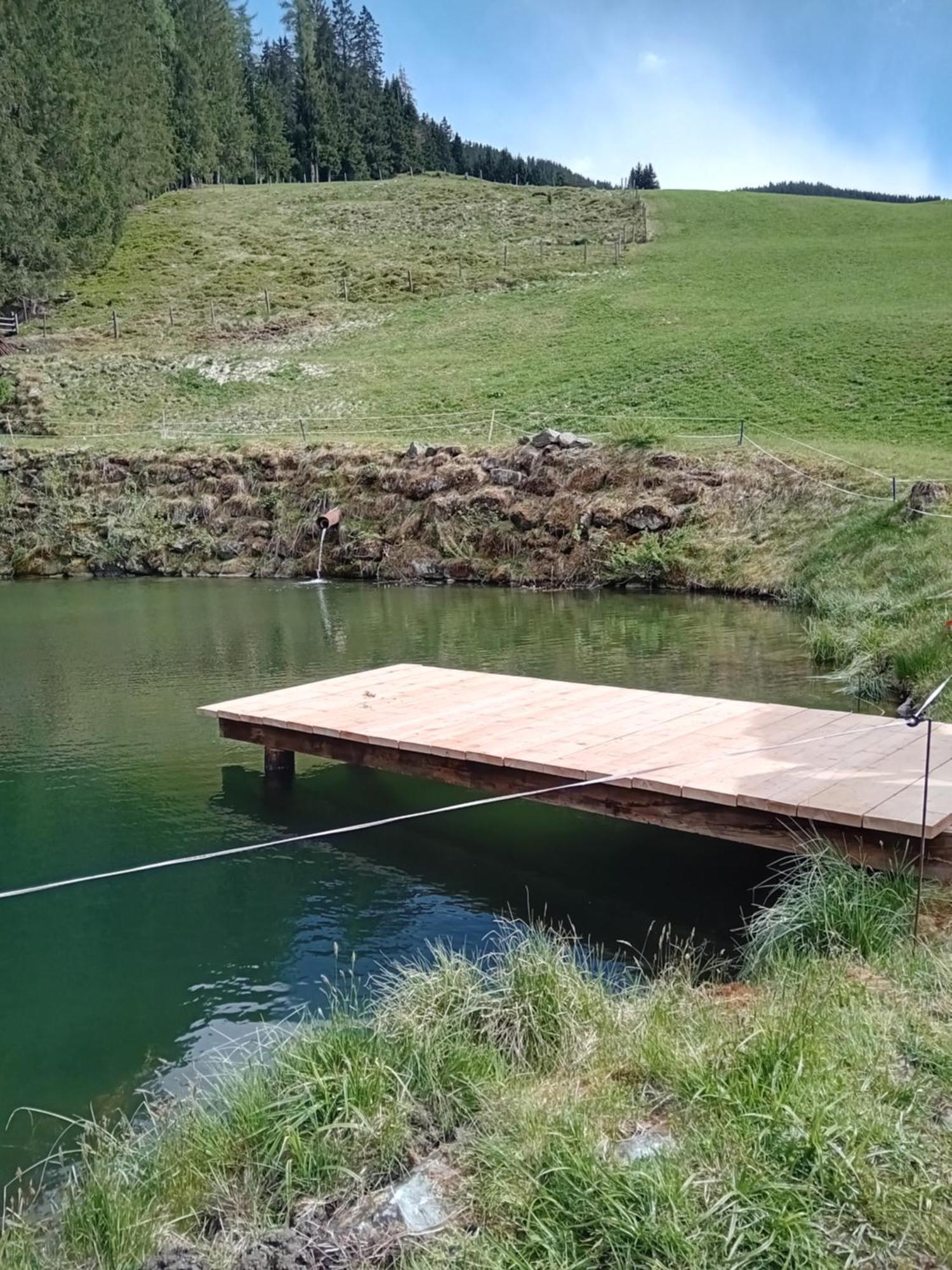 Ferienhaus Hochwimmer Hollersbach im Pinzgau Ngoại thất bức ảnh