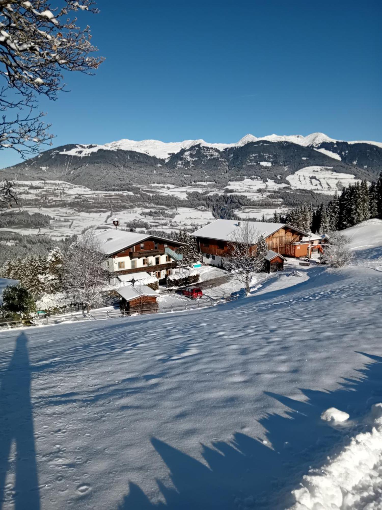 Ferienhaus Hochwimmer Hollersbach im Pinzgau Ngoại thất bức ảnh