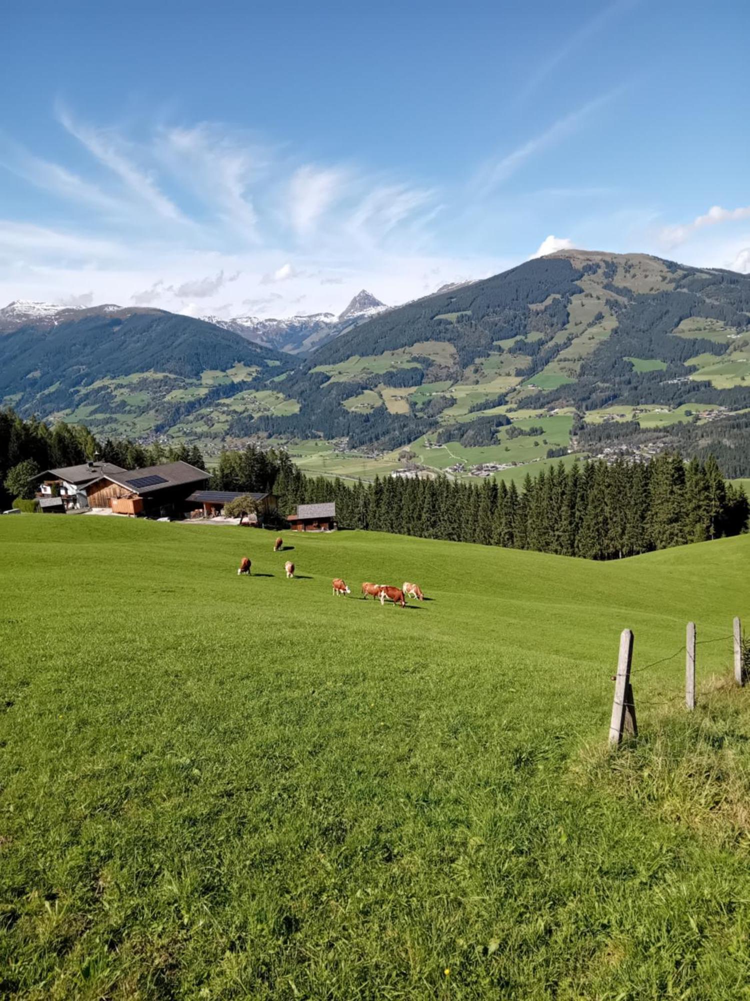Ferienhaus Hochwimmer Hollersbach im Pinzgau Ngoại thất bức ảnh