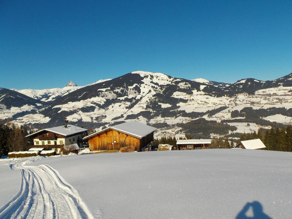 Ferienhaus Hochwimmer Hollersbach im Pinzgau Ngoại thất bức ảnh