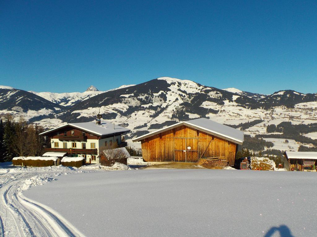 Ferienhaus Hochwimmer Hollersbach im Pinzgau Ngoại thất bức ảnh