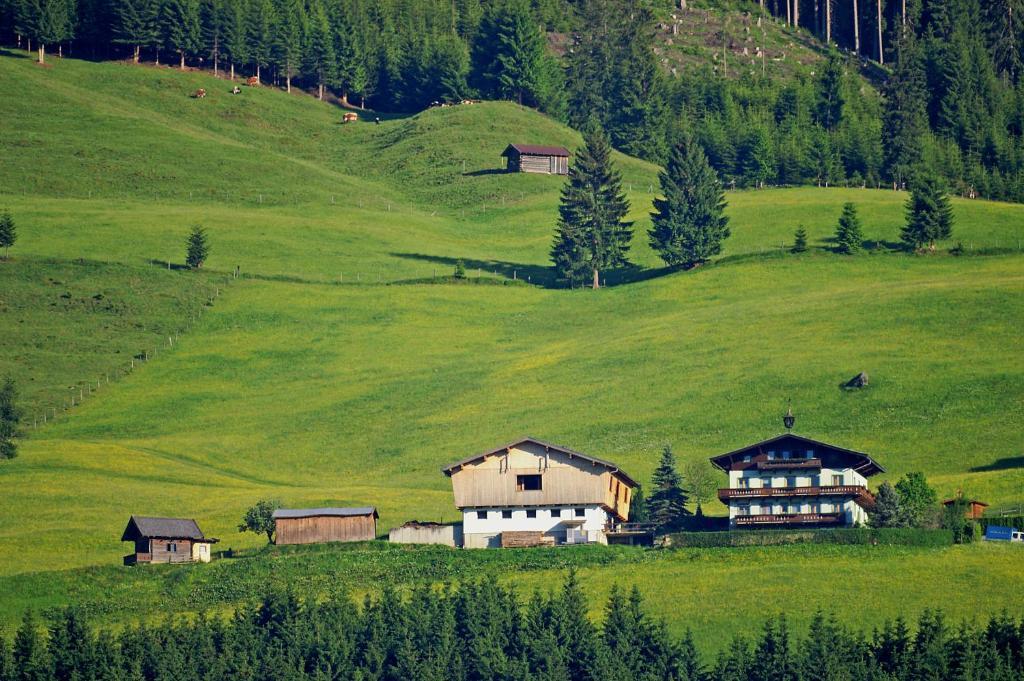 Ferienhaus Hochwimmer Hollersbach im Pinzgau Ngoại thất bức ảnh